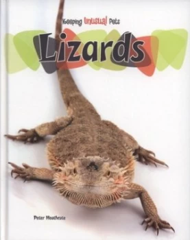 Image of Lizards by Peter Heathcote Hardback