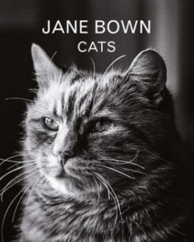 Image of Cats by Jane Bown