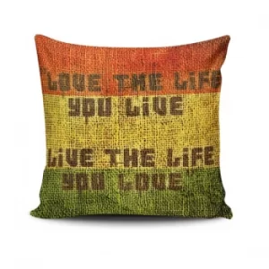 Image of JKRLNT-3 Multicolor Cushion