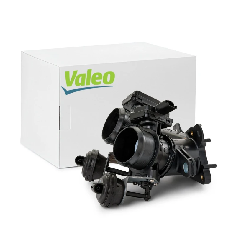 Image of Throttle body VALEO 700462