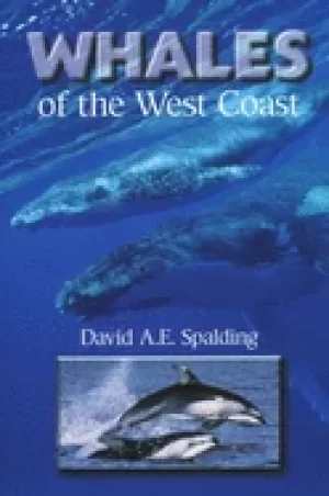 Image of whales of the west coast