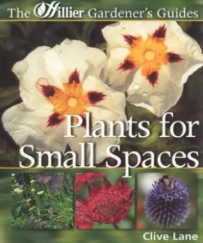 Image of Plants for Small Spaces by Clive Lane Paperback
