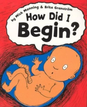Image of How Did I Begin by Mick Manning Paperback