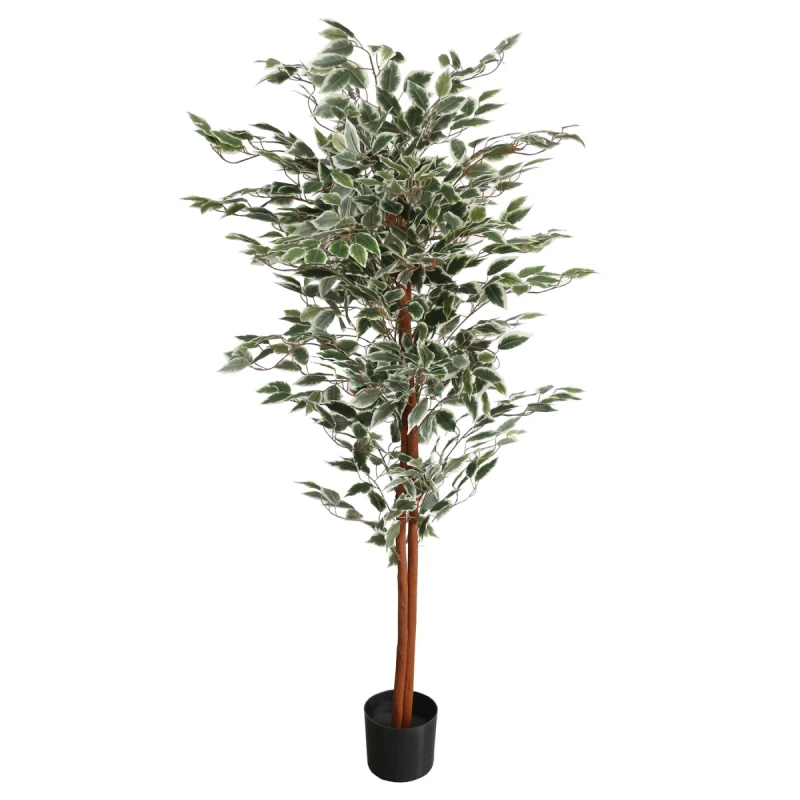 Image of Leaf 160cm Artificial Ficus with Natural Variegated Leaves