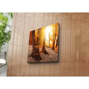 Image of 4545K-61 Multicolor Decorative Canvas Painting