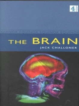 Image of The Brain by Jack Challoner Hardback