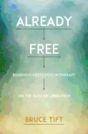 Image of already free buddhism meets psychotherapy on the path of liberation