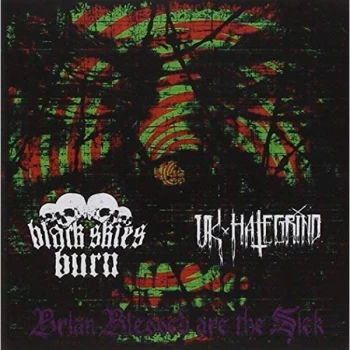 image of Black Skies Burn/Uk Hate Grind - Brian Blessed Are the Sick CD