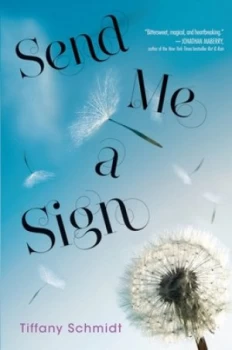 Image of Send Me a Sign by Tiffany Schmidt Book
