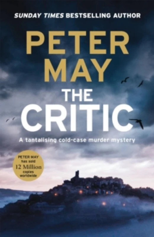 Image of The Critic : A tantalising cold-case murder mystery (The Enzo Files Book 2) Paperback / softback