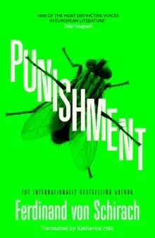Image of Punishment : The gripping international bestseller
