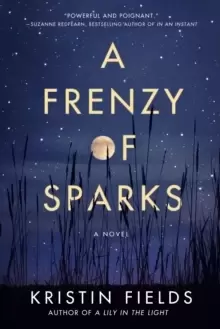 image of A Frenzy of Sparks : A Novel