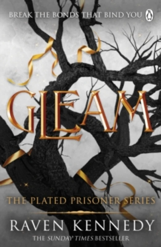 Image of Gleam Paperback / softback