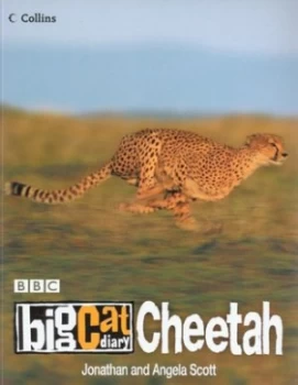 Image of Cheetah by Jonathan Scott Paperback