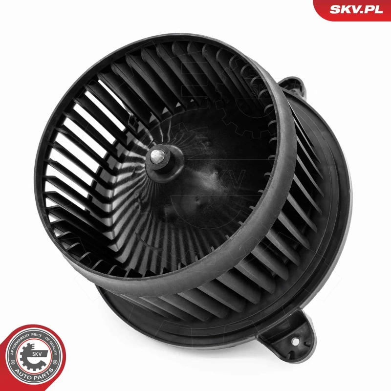 Image of ESEN SKV Blower motor ESEN SKV 68SKV198