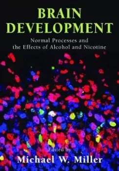 Image of Brain Development by Michael W. Miller