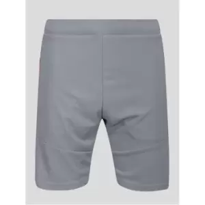 Luke Sport Performance Squatt Shorts - Silver