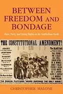 Image of between freedom and bondage race party and voting rights in the antebellum