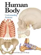 Image of human body understanding anatomy