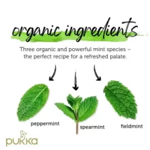 Image of Pukka Tea Three Mint Envelopes 20's