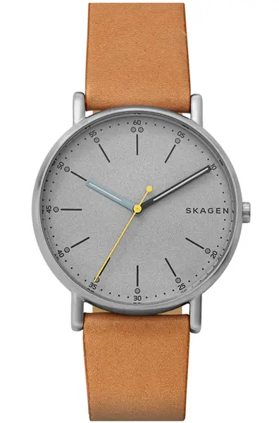 Skagen Watch Signatur Mens - Grey SKG-202