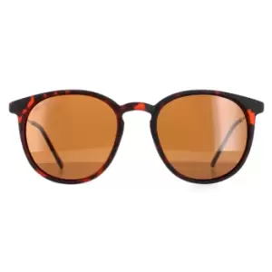 Round Havana Rubbertouch Brown Polarized MP33 Sunglasses