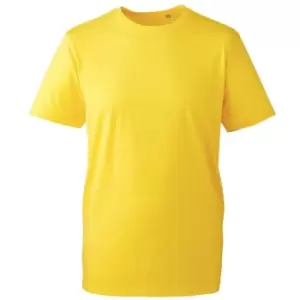 Image of Anthem Mens Organic T-Shirt (3XL) (Yellow)