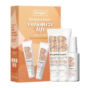 image of Briogeo Blossom & Bloom Volumize & Lift Hair Care Minis Set