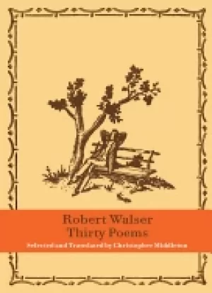 Image of thirty poems