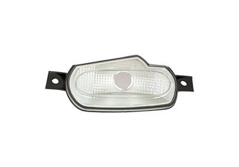 Image of VAN WEZEL Side indicator VAN WEZEL 2916905