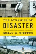 Image of dynamics of disaster