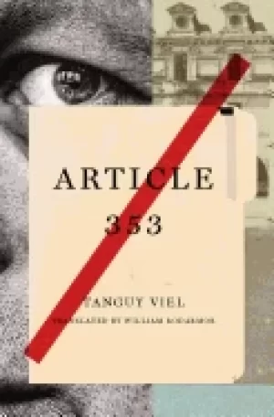 Image of article 353 a novel