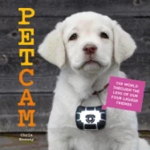 Image of petcam the world through the lens of our four legged friends