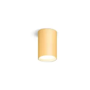 Image of Kolarz TUBO - Surface Mounted Spotlight - Leaf Gold Finish, 1x GX53