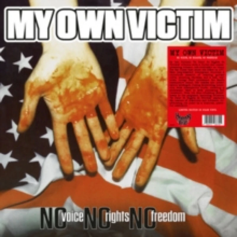 Image of No voice, no rights, no freedom Vinyl