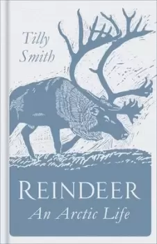 Image of Reindeer - Tilly Smith - Hardback - Used