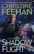 Image of shadow flight