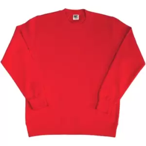 image of SG Ladies/Womens Crew Neck Long Sleeve Sweatshirt (2XL) (Red)