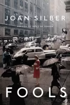 Image of Fools by Joan Silber
