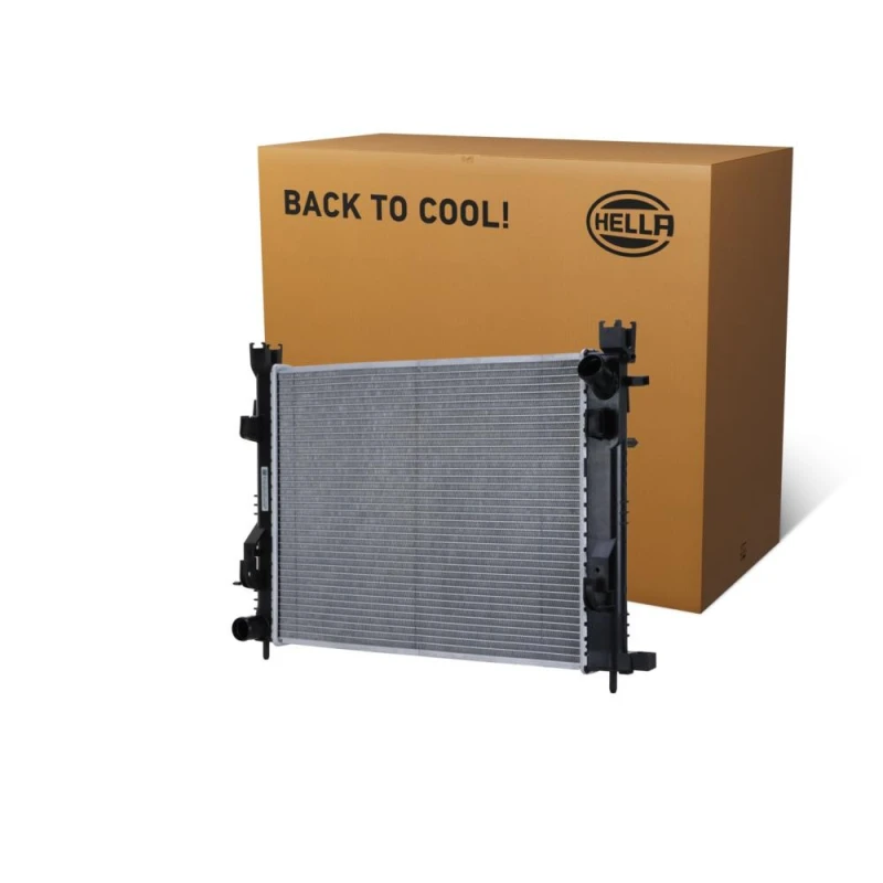 Image of HELLA Engine radiator HELLA 8MK 366 300-281