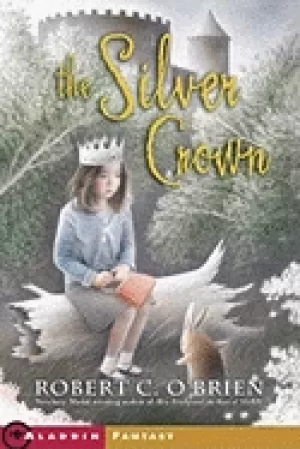 Image of silver crown