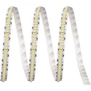 LED strip solder lugs 24 V 2.5cm Cold white ledxon LFBHL SW860 24V 6S42 20 9009058