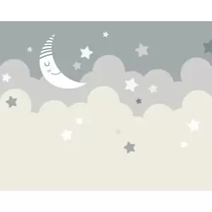 image of Origin Murals Nighttime Children's Sky Dove Grey Wall Mural - 3.5m x 2.8m