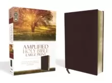 Image of Amplified Holy Bible, Large Print, Bonded Leather, Burgundy : Captures the Full Meaning Behind the Original Greek and Hebrew