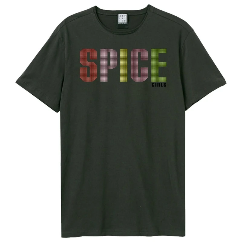 Image of Amplified Amplified Men Spice Logo T-Shirt in Charcoal Size: X-Small Charcoal XS Male 5063806466208