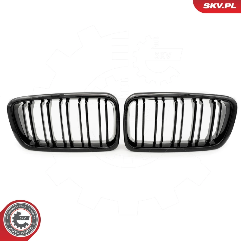 Image of ESEN SKV Radiator Grille ESEN SKV 66SKV216