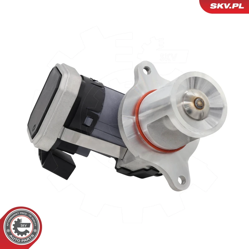 Image of ESEN SKV EGR valve ESEN SKV 14SKV306