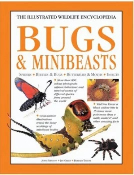 Image of Bugs and Minibeasts by Barbara Taylor and Jen Green and John Farndon Paperback