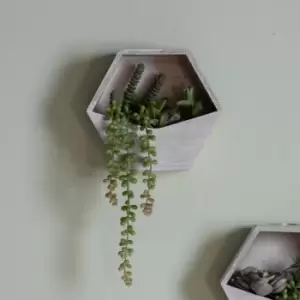 image of Crossland Grove Wall Planter With Sedum Succulent Mix H380Mm