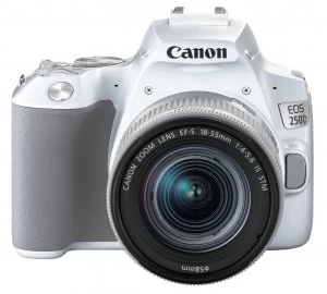Image of Canon EOS 250D 24.1MP DSLR Camera